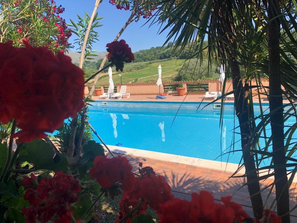 Rea Villa Coltodino Extérieur photo